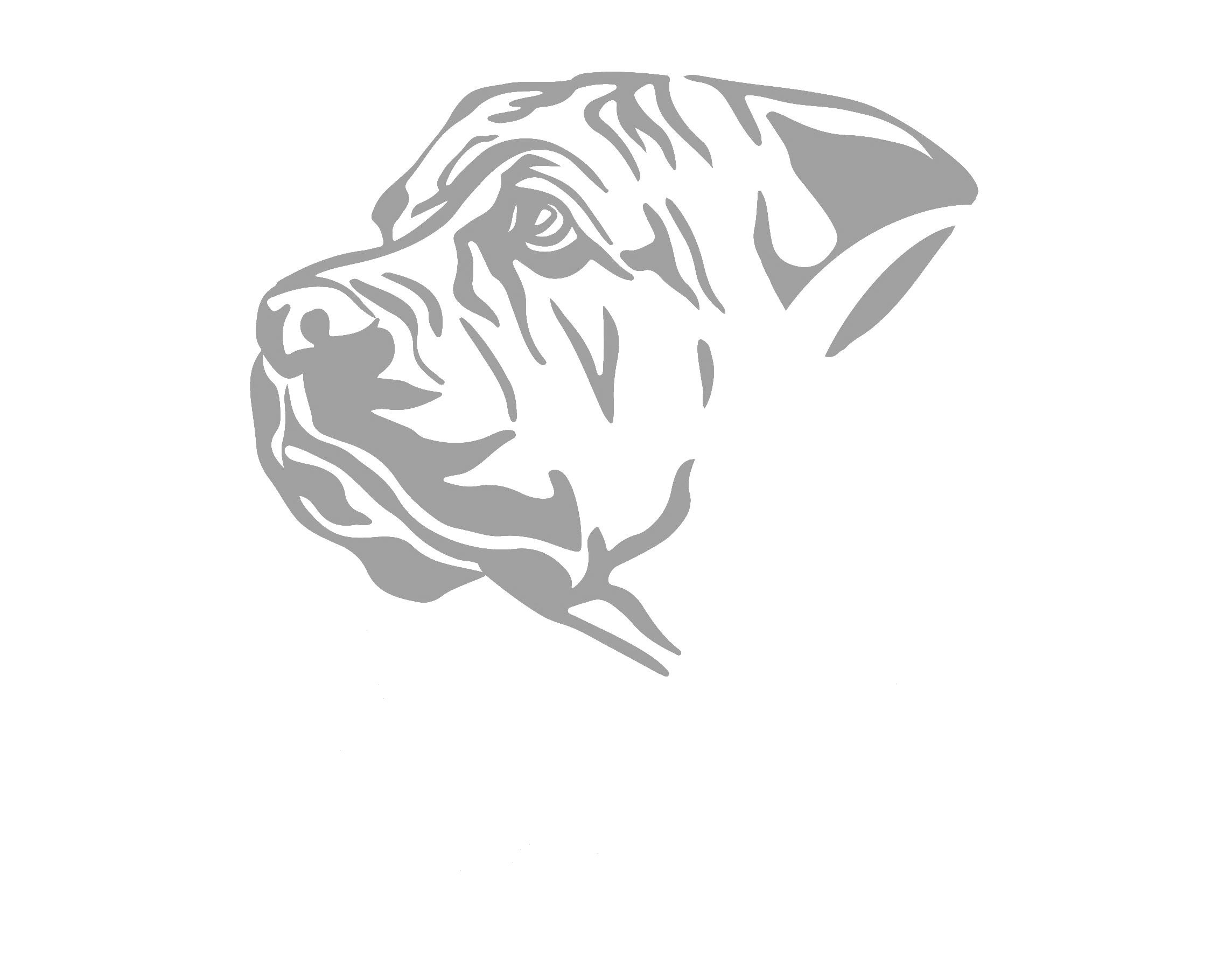 muus_logo_clean
